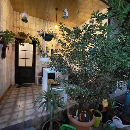 Mr Guest House Tiflis Exterior foto